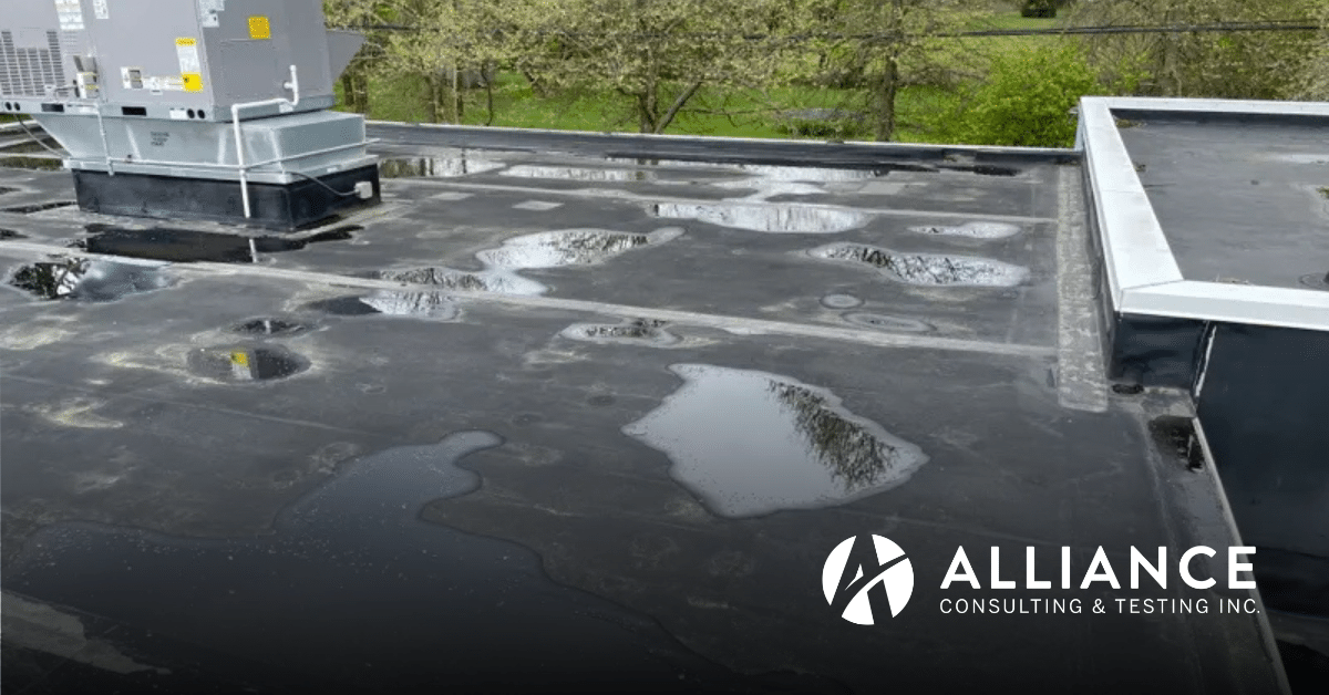 Spring roof damage